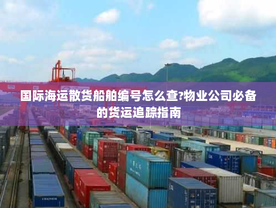 国际海运散货船舶编号怎么查?物业公司必备的货运追踪指南