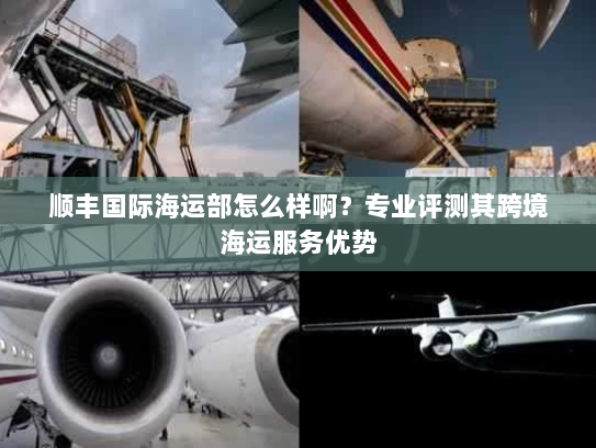 顺丰国际海运部怎么样啊？专业评测其跨境海运服务优势