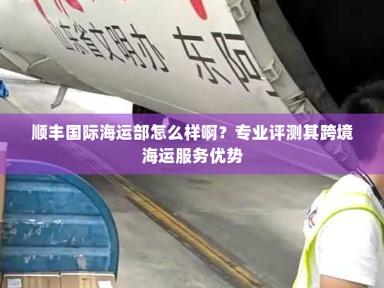 顺丰国际海运部怎么样啊？专业评测其跨境海运服务优势