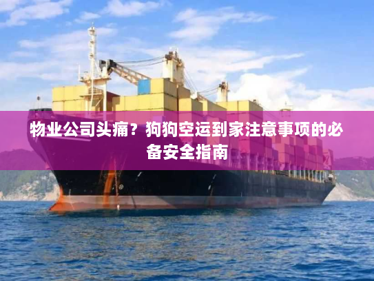 物业公司头痛?狗狗空运到家注意事项的必备安全指南 物业公司头痛?狗狗空运到家注意事项的必备安全指南