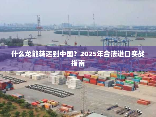 什么龙能转运到中国？2025年合法进口实战指南