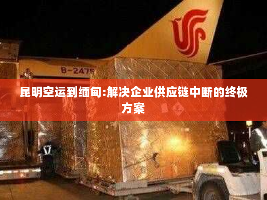 昆明空运到缅甸:解决企业供应链中断的终极方案