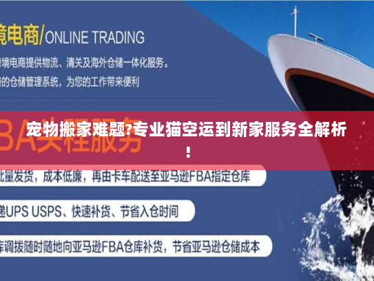 宠物搬家难题?专业猫空运到新家服务全解析! 宠物搬家难题?专业猫空运到新家服务全解析!