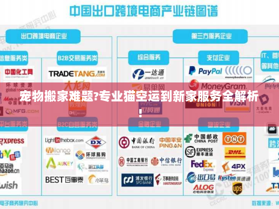 宠物搬家难题?专业猫空运到新家服务全解析! 宠物搬家难题?专业猫空运到新家服务全解析!