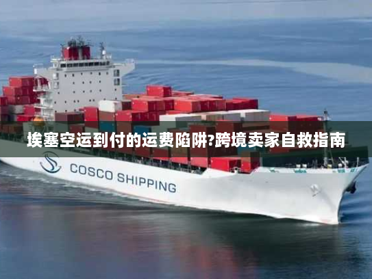 埃塞空运到付的运费陷阱?跨境卖家自救指南 埃塞空运到付的运费陷阱?跨境卖家自救指南