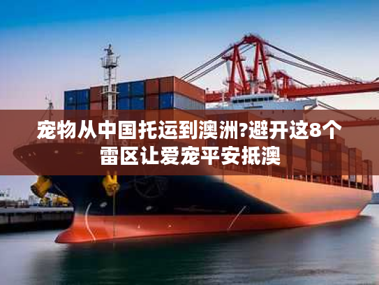 宠物从中国托运到澳洲?避开这8个雷区让爱宠平安抵澳