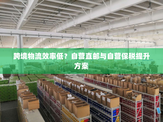 跨境物流效率低？自营直邮与自营保税提升方案