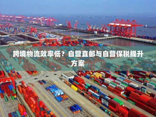 跨境物流效率低？自营直邮与自营保税提升方案