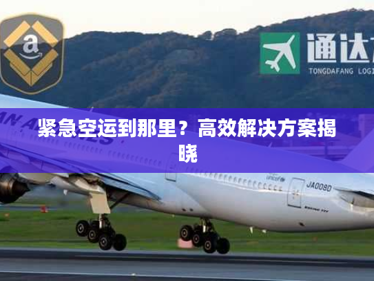 紧急空运到那里？高效解决方案揭晓