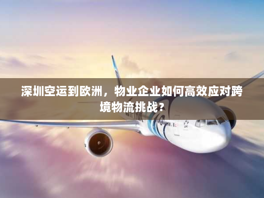 深圳空运到欧洲，物业企业如何高效应对跨境物流挑战？