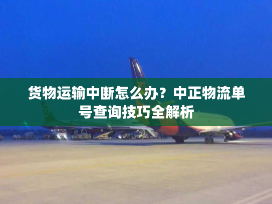 货物运输中断怎么办？中正物流单号查询技巧全解析