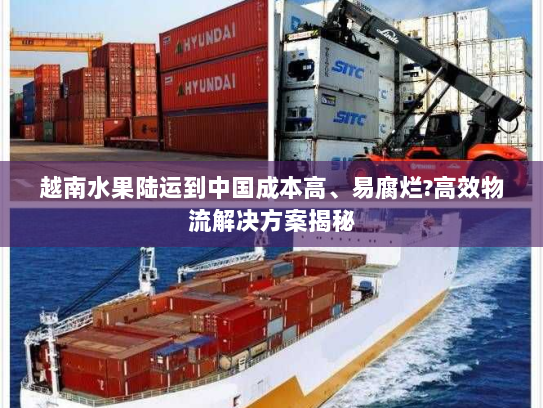 越南水果陆运到中国成本高、易腐烂?高效物流解决方案揭秘 越南水果陆运到中国成本高、易腐烂?高效物流解决方案揭秘