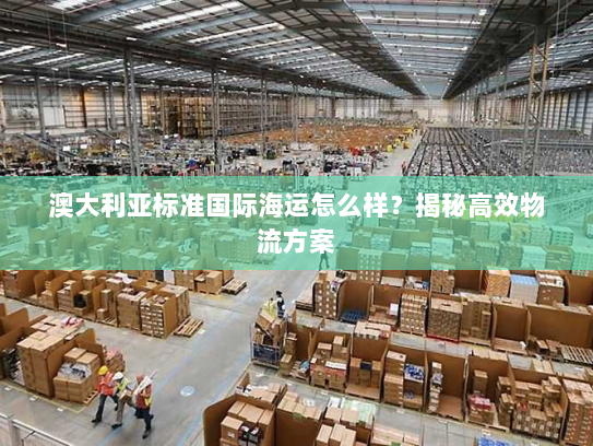 澳大利亚标准国际海运怎么样？揭秘高效物流方案