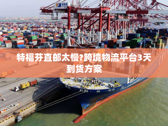 特福芬直邮太慢?跨境物流平台3天到货方案