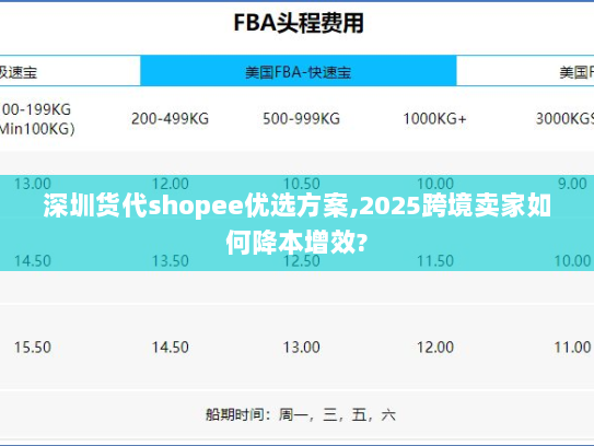 深圳货代shopee优选方案,2025跨境卖家如何降本增效? 深圳货代shopee优选方案,2025跨境卖家如何降本增效?