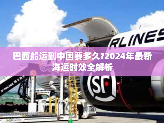 巴西船运到中国要多久?2024年最新海运时效全解析