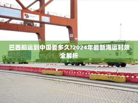 巴西船运到中国要多久?2024年最新海运时效全解析 巴西船运到中国要多久?2024年最新海运时效全解析