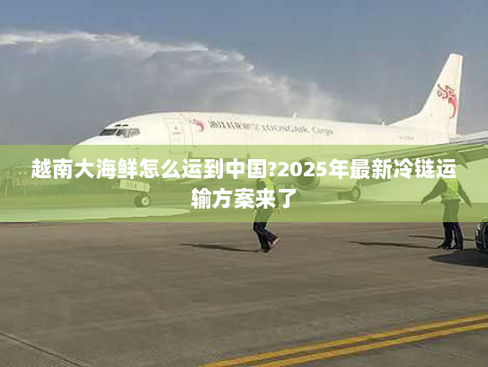 越南大海鲜怎么运到中国?2025年最新冷链运输方案来了 越南大海鲜怎么运到中国?2025年最新冷链运输方案来了
