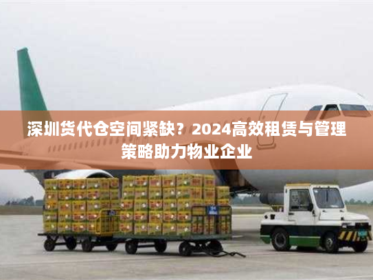 深圳货代仓空间紧缺？2024高效租赁与管理策略助力物业企业