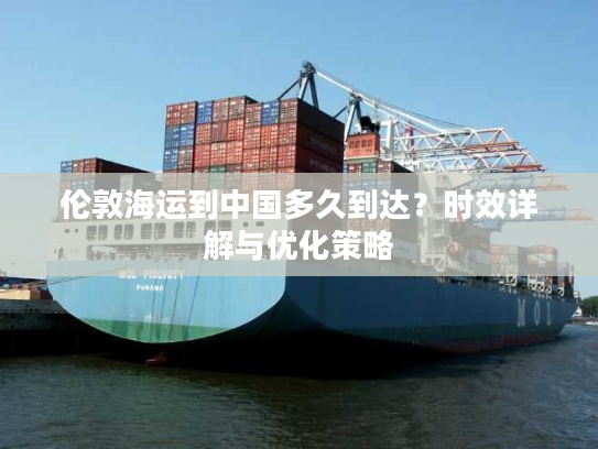 伦敦海运到中国多久到达？时效详解与优化策略