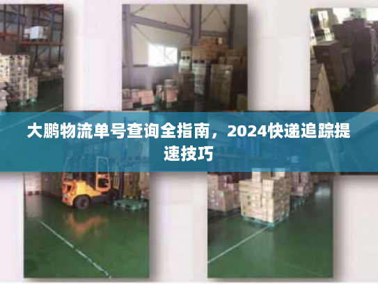 大鹏物流单号查询全指南，2024快递追踪提速技巧