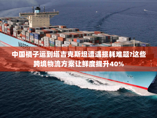 中国橘子运到塔吉克斯坦遭遇损耗难题?这些跨境物流方案让鲜度提升40% 中国橘子运到塔吉克斯坦遭遇损耗难题?这些跨境物流方案让鲜度提升40%