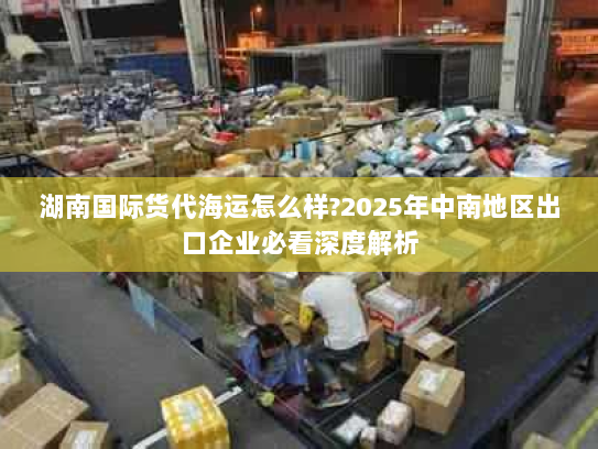湖南国际货代海运怎么样?2025年中南地区出口企业必看深度解析 湖南国际货代海运怎么样?2025年中南地区出口企业必看深度解析