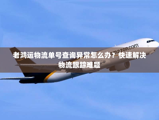 老鸿运物流单号查询异常怎么办?快速解决物流跟踪难题 老鸿运物流单号查询异常怎么办?快速解决物流跟踪难题