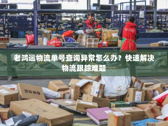 老鸿运物流单号查询异常怎么办?快速解决物流跟踪难题 老鸿运物流单号查询异常怎么办?快速解决物流跟踪难题
