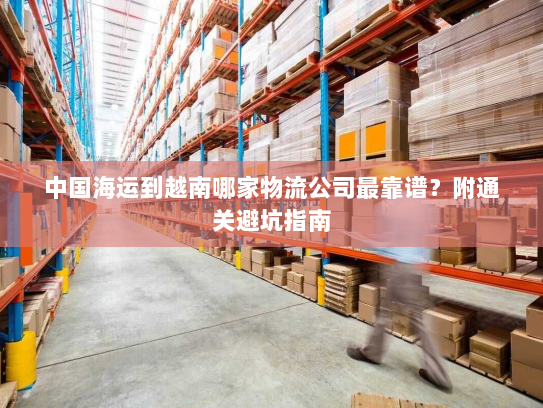 中国海运到越南哪家物流公司最靠谱?附通关避坑指南 中国海运到越南哪家物流公司最靠谱?附通关避坑指南