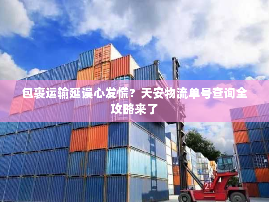 包裹运输延误心发慌?天安物流单号查询全攻略来了 包裹运输延误心发慌?天安物流单号查询全攻略来了