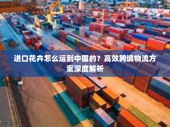 进口花卉怎么运到中国的?高效跨境物流方案深度解析 进口花卉怎么运到中国的?高效跨境物流方案深度解析