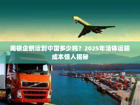南极企鹅运到中国多少吨？2025年活体运输成本惊人揭秘