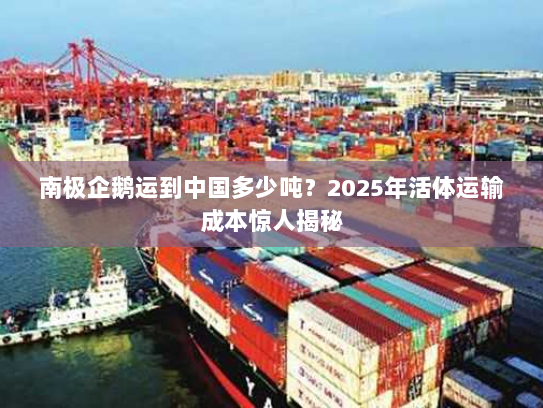 南极企鹅运到中国多少吨？2025年活体运输成本惊人揭秘