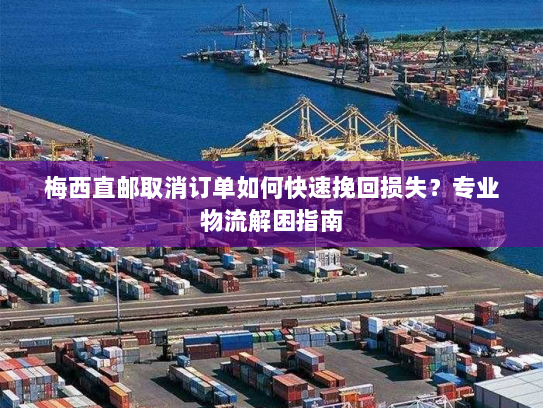 梅西直邮取消订单如何快速挽回损失？专业物流解困指南