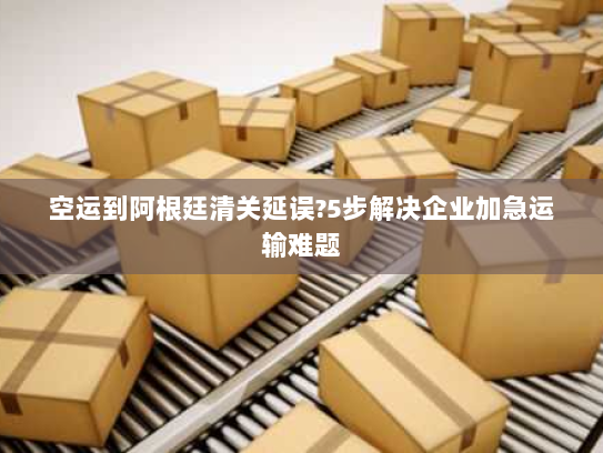 空运到阿根廷清关延误?5步解决企业加急运输难题 空运到阿根廷清关延误?5步解决企业加急运输难题
