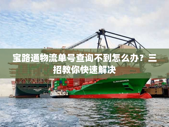 宝路通物流单号查询不到怎么办？三招教你快速解决