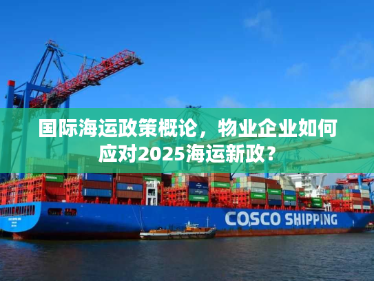 国际海运政策概论，物业企业如何应对2025海运新政？