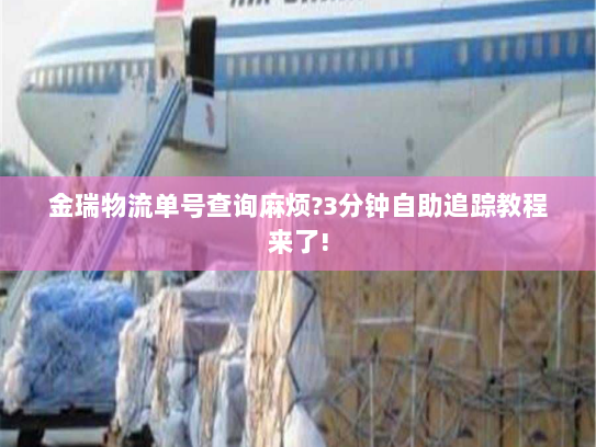 金瑞物流单号查询麻烦?3分钟自助追踪教程来了!