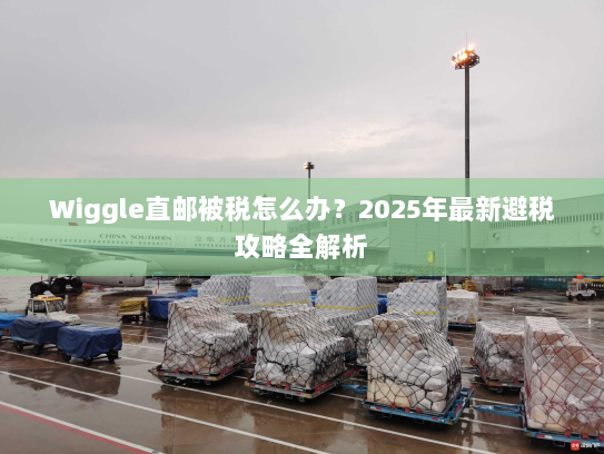 Wiggle直邮被税怎么办?2025年最新避税攻略全解析 Wiggle直邮被税怎么办?2025年最新避税攻略全解析