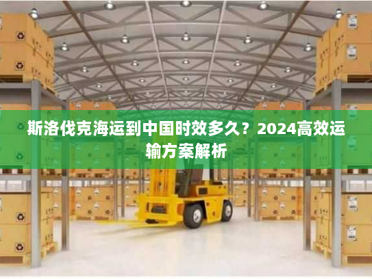 斯洛伐克海运到中国时效多久?2024高效运输方案解析 斯洛伐克海运到中国时效多久?2024高效运输方案解析
