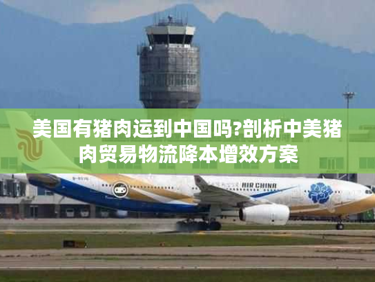美国有猪肉运到中国吗?剖析中美猪肉贸易物流降本增效方案