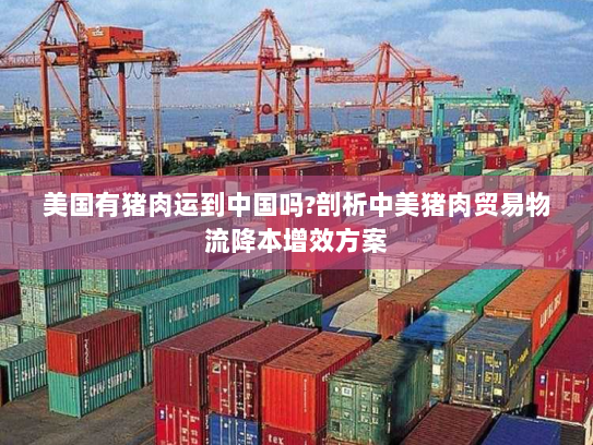 美国有猪肉运到中国吗?剖析中美猪肉贸易物流降本增效方案 美国有猪肉运到中国吗?剖析中美猪肉贸易物流降本增效方案