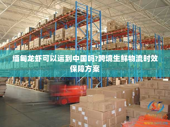 缅甸龙虾可以运到中国吗?跨境生鲜物流时效保障方案 缅甸龙虾可以运到中国吗?跨境生鲜物流时效保障方案