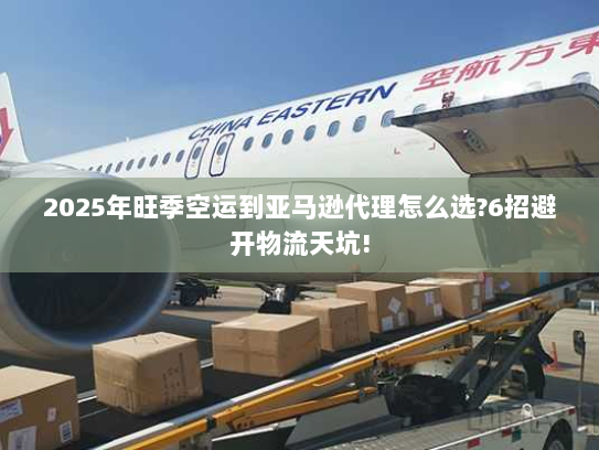 2025年旺季空运到亚马逊代理怎么选?6招避开物流天坑! 2025年旺季空运到亚马逊代理怎么选?6招避开物流天坑!
