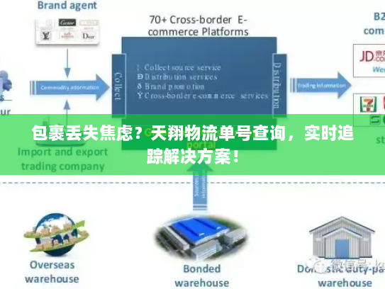 包裹丢失焦虑？天翔物流单号查询，实时追踪解决方案！