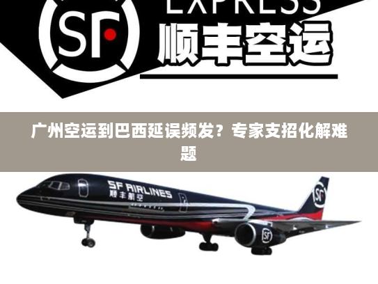 广州空运到巴西延误频发？专家支招化解难题