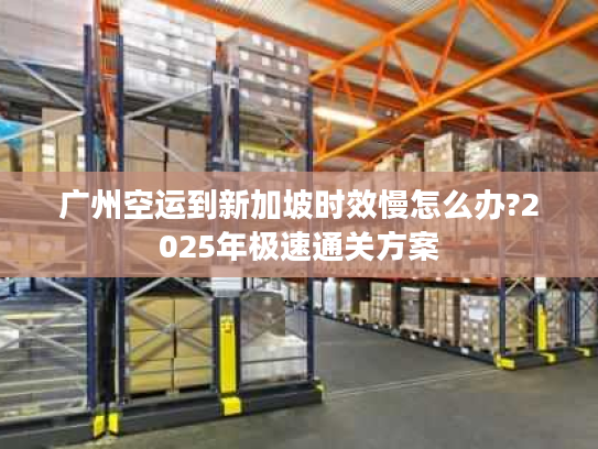 广州空运到新加坡时效慢怎么办?2025年极速通关方案