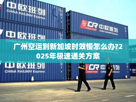 广州空运到新加坡时效慢怎么办?2025年极速通关方案