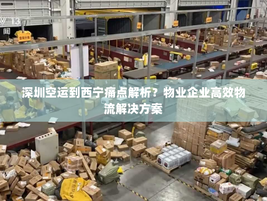 深圳空运到西宁痛点解析?物业企业高效物流解决方案 深圳空运到西宁痛点解析?物业企业高效物流解决方案